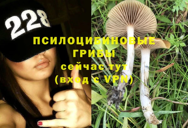 Альфа ПВП Теберда